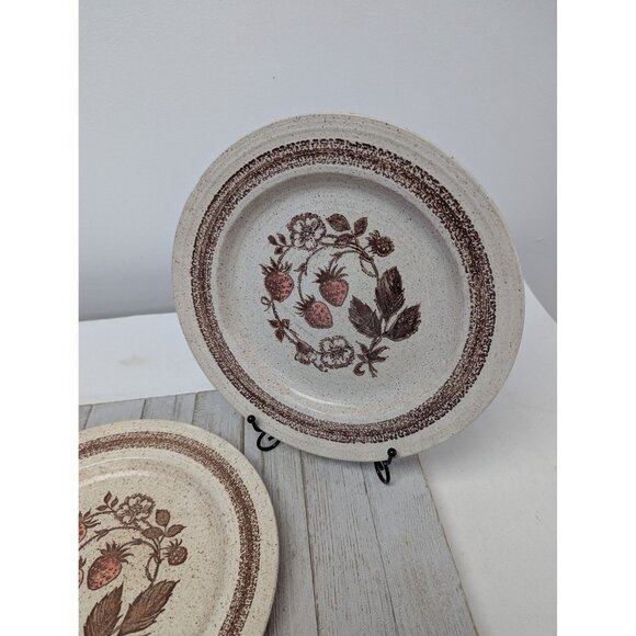 Set of 2 Homespun Stonecast Churchill Wild Strawberry 10 1/4" Dinner Plates - Picture 3 of 7